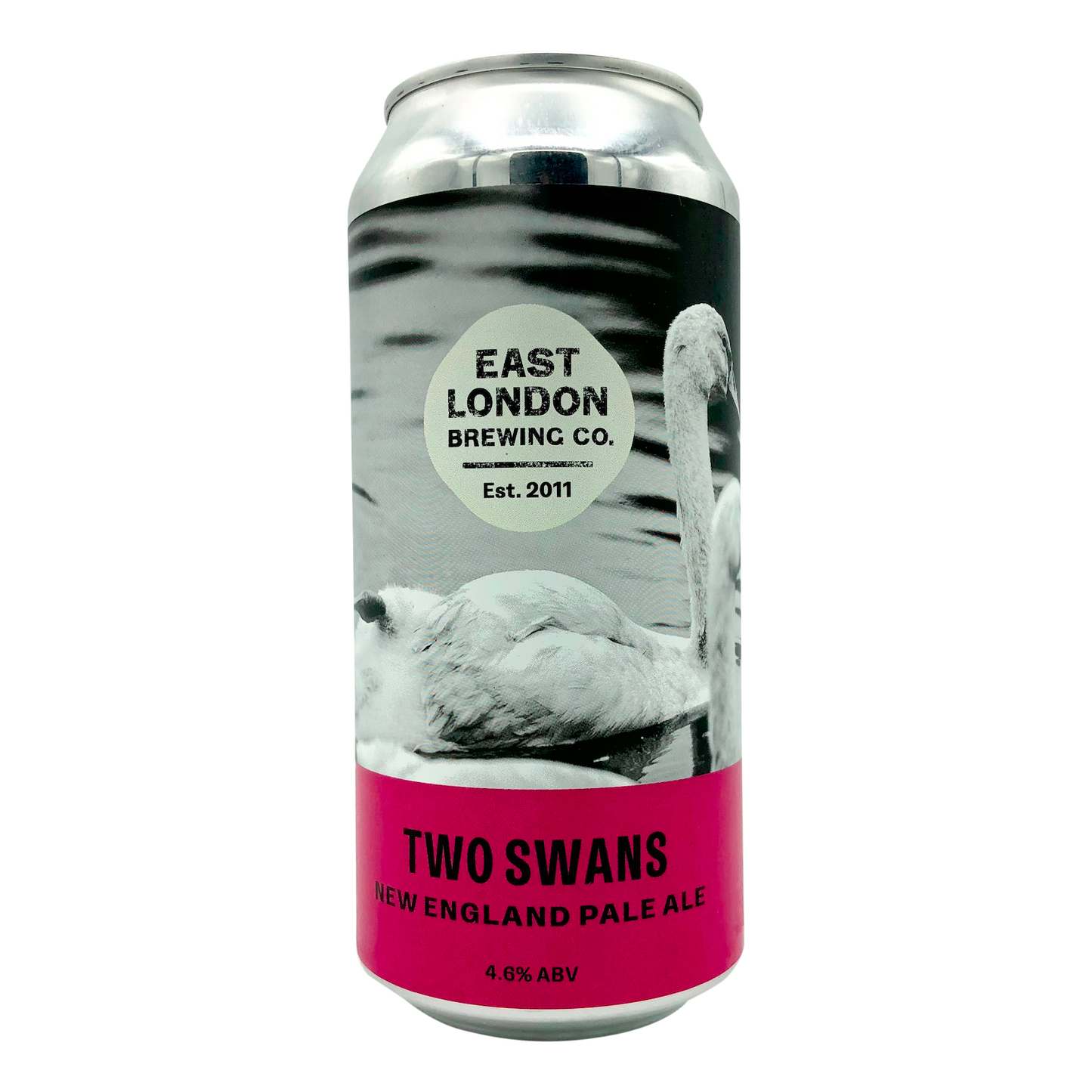 Two Swans (V)