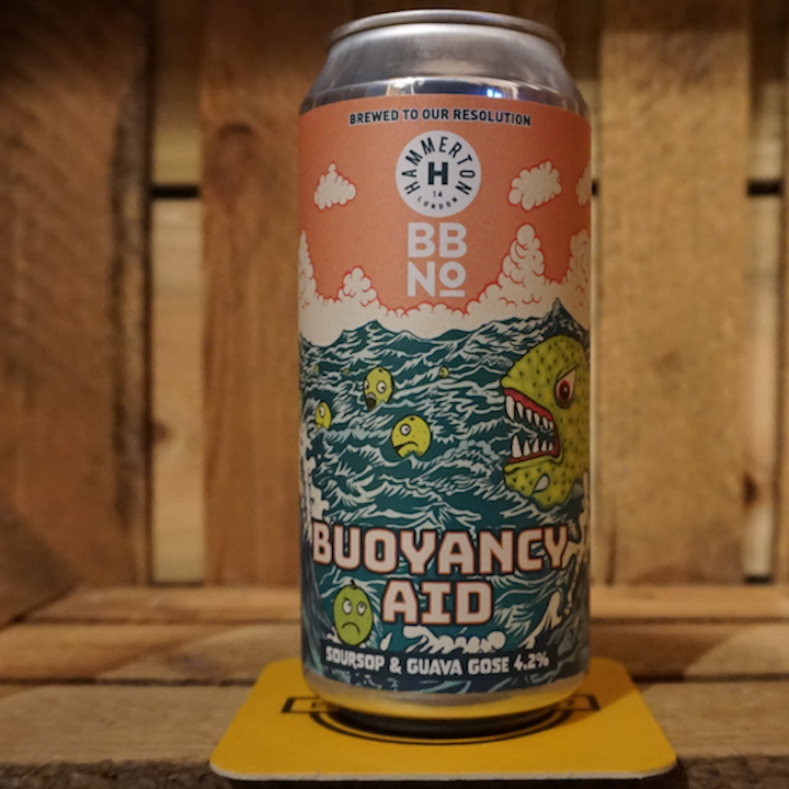 Buoyancy Aid