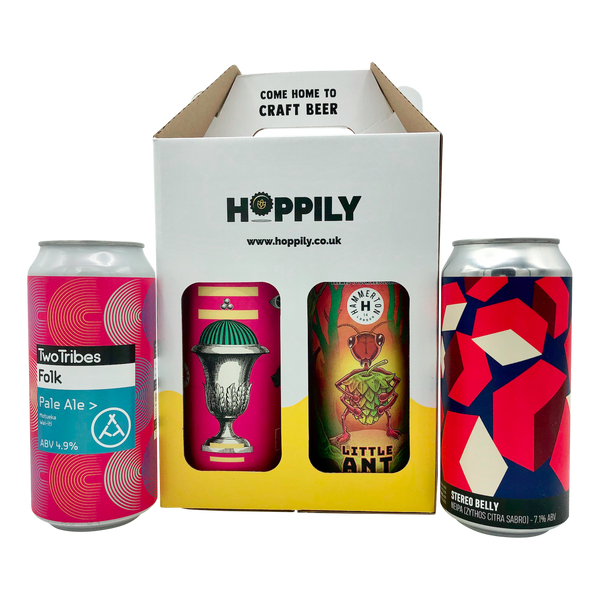 Craft beer can pack - 4 x 440ml cans