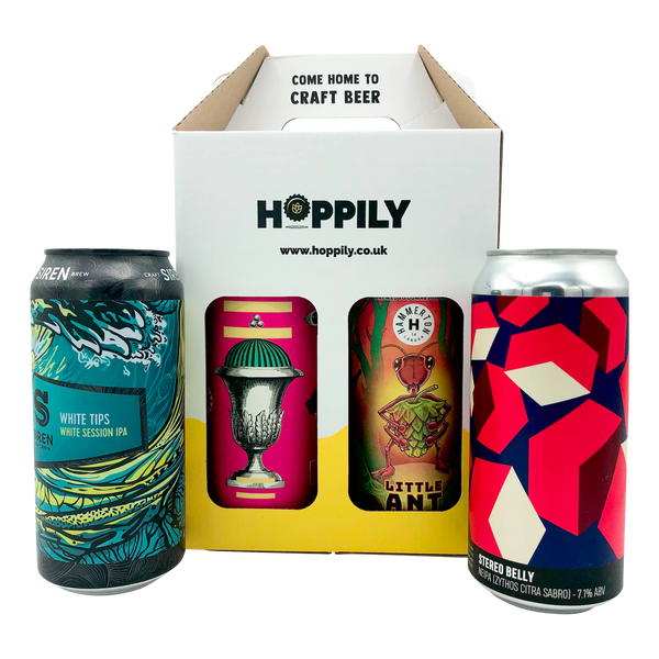 Craft beer can pack - 4 x 440ml cans