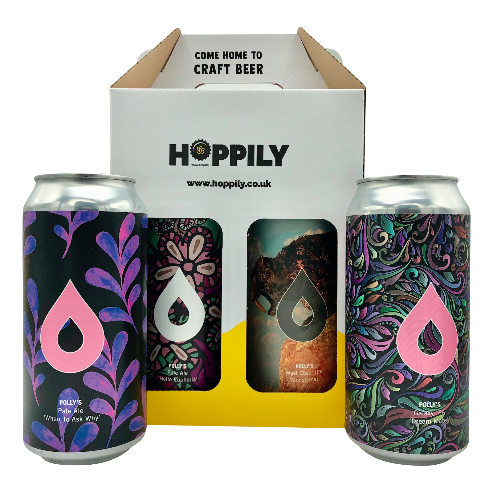 Polly's Brew Co - 4 x 440ml Gift Box