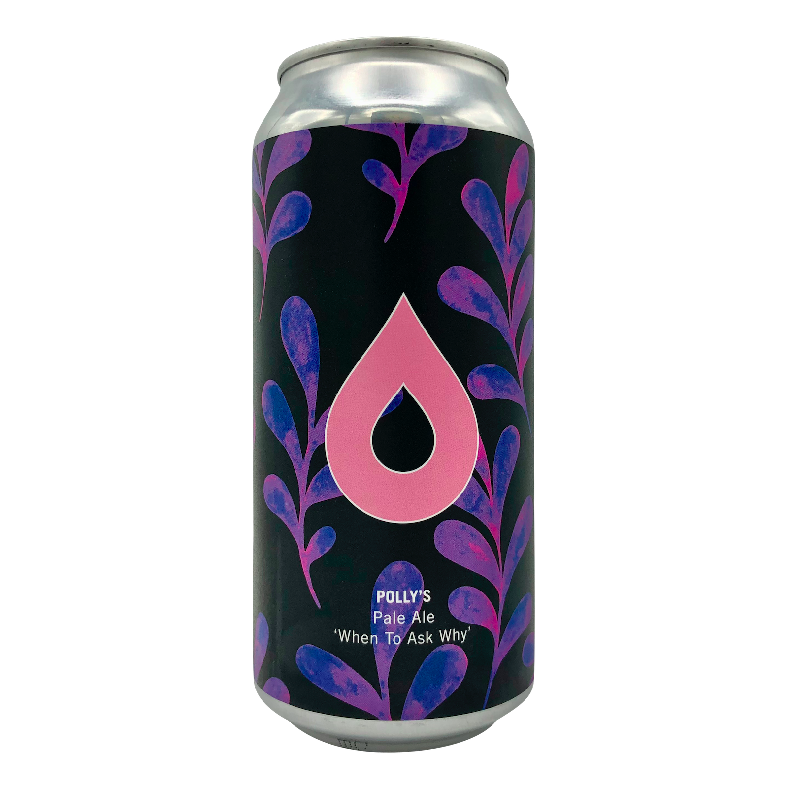 Polly's Brew Co - When To Ask Why