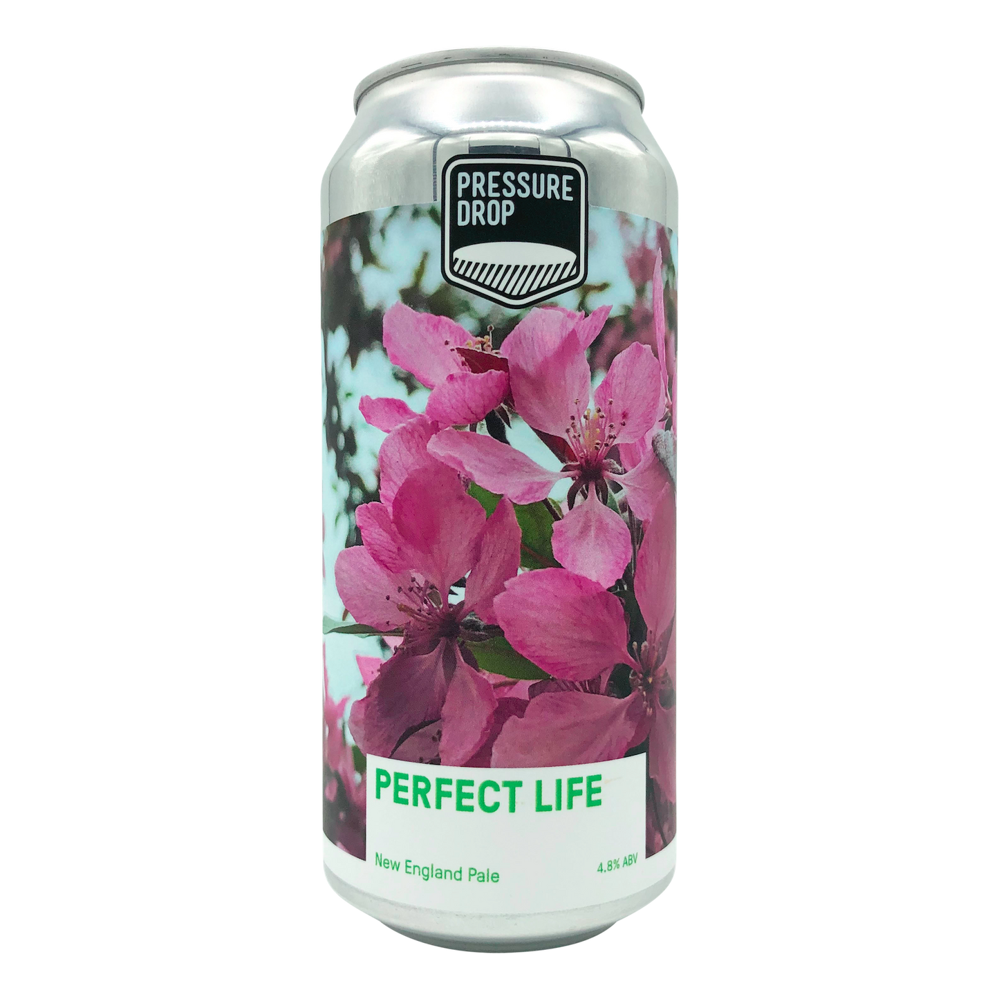 Perfect Life