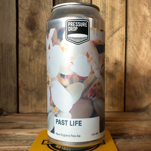 Past Life (V)