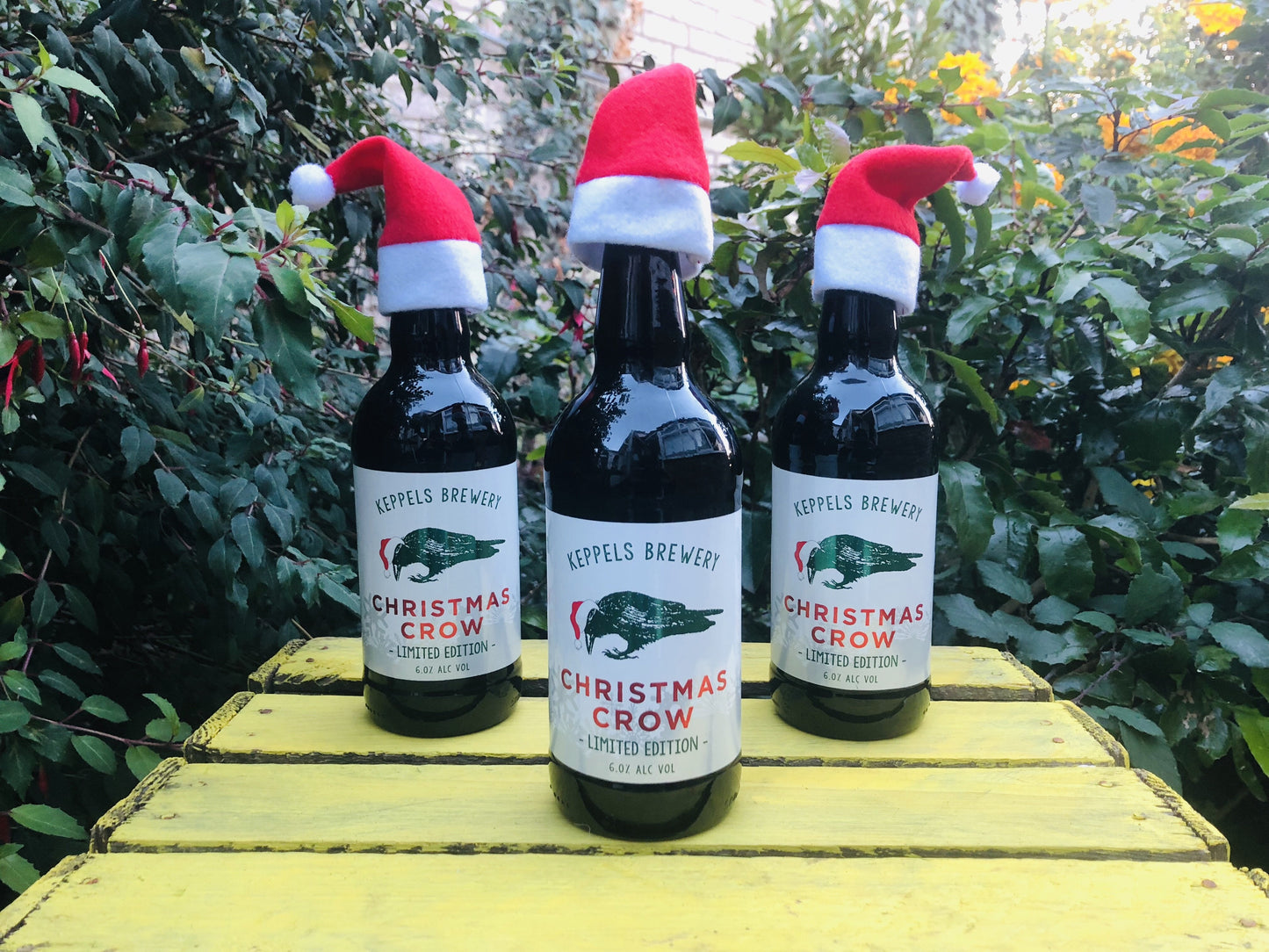 Christmas Crow