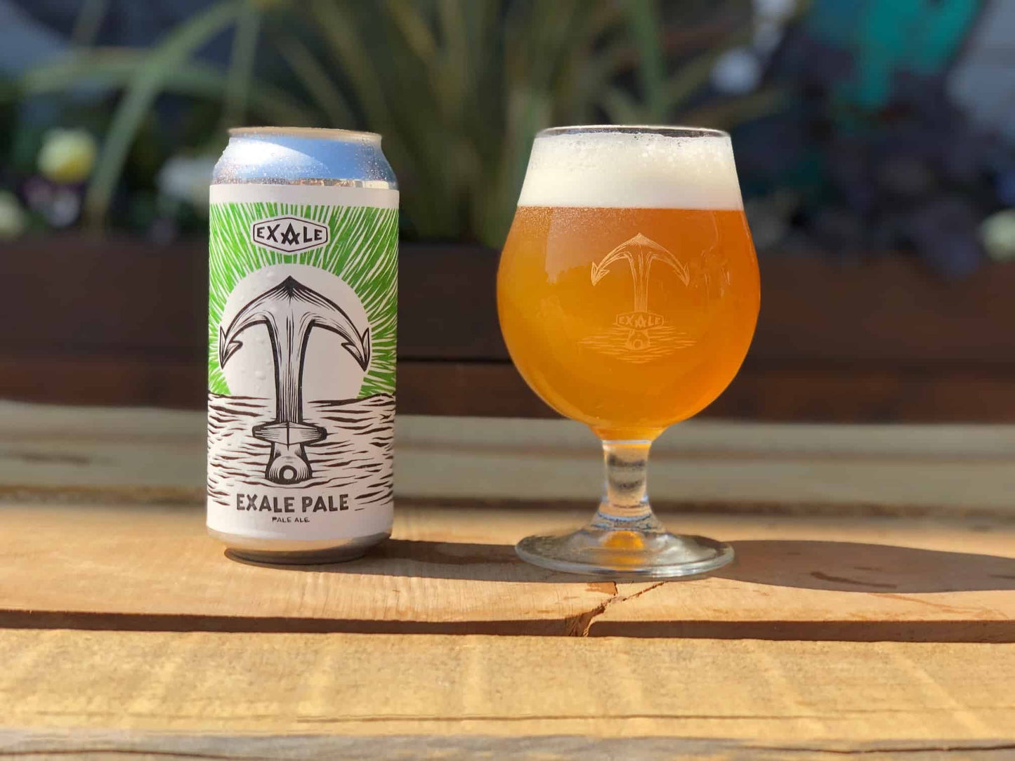 Exale Pale (V)